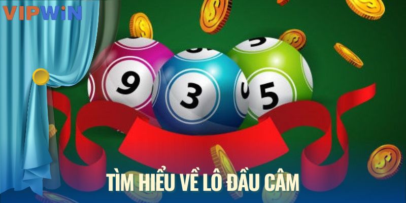 Tìm hiểu về lô đầu câm