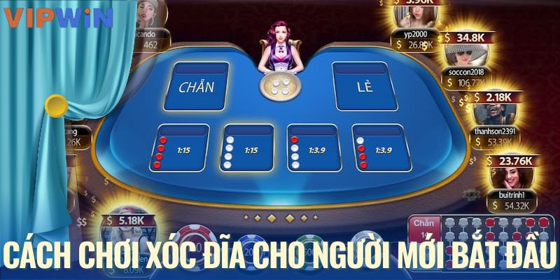 Cách chơi xóc đĩa cho người mới bắt đầu