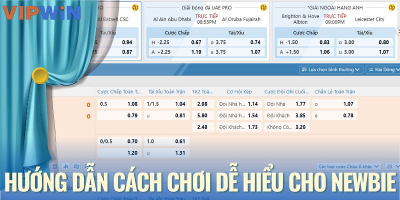 Hướng dẫn cách chơi dễ hiểu cho newbie