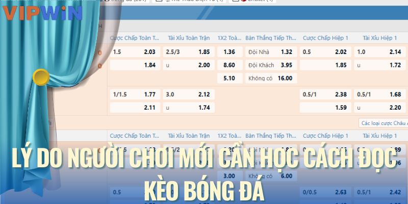 Lý do người chơi mới cần học cách đọc kèo bóng đá